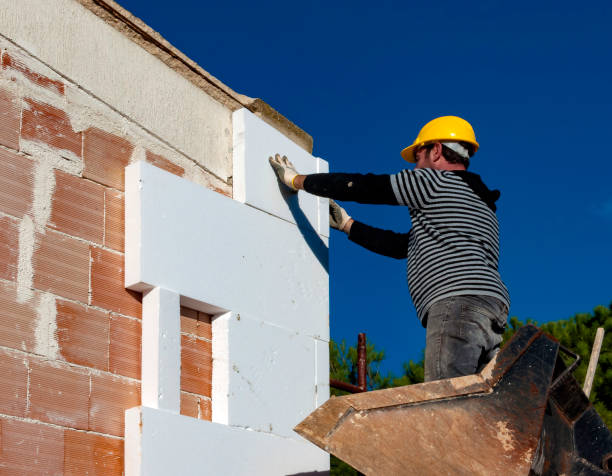 Best Eco-Friendly Insulation in Sturtevant, WI