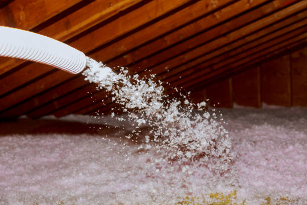 Best Geographic-Specific Insulation Services in Sturtevant, WI